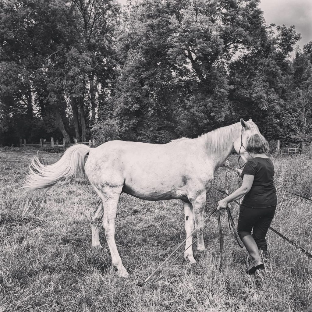 CHEVAL