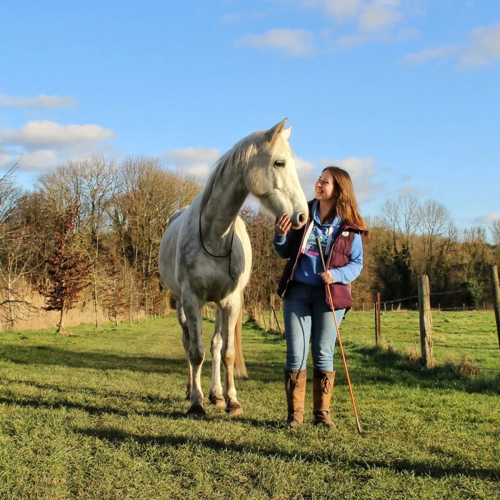 LIBERTÉ CHEVAL