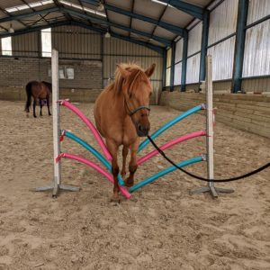 cheval embûches