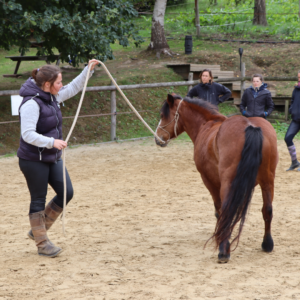 ecole du poney-11