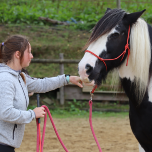 ecole du poney-15