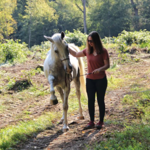 equitation